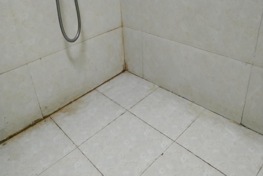 BANDě邦地美｜刷新认知：墙面发霉竟然是因为这个......