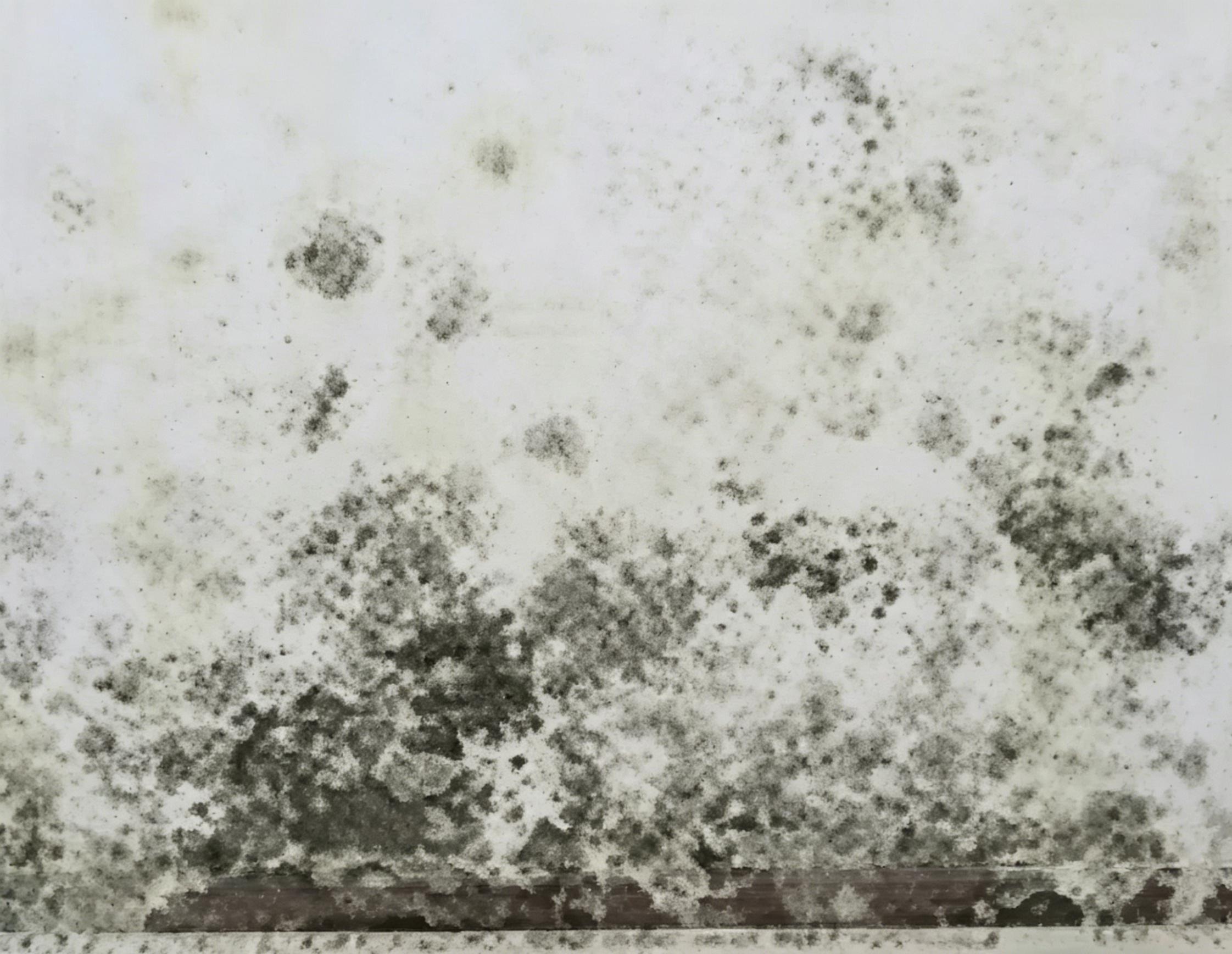 3.回潮脏污.jpg