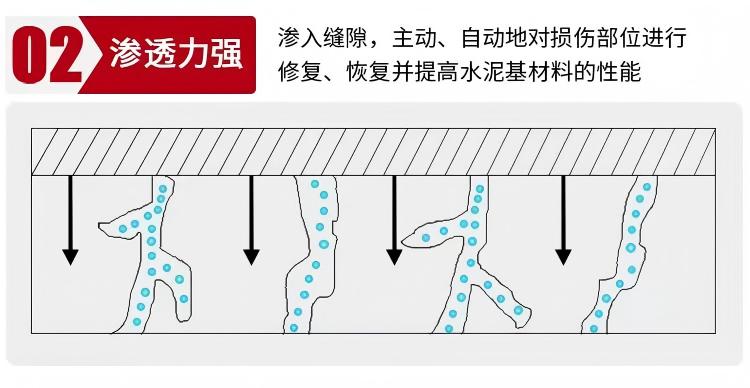 2.渗透力强.jpg