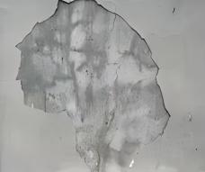 1.墙皮脱落.jpg
