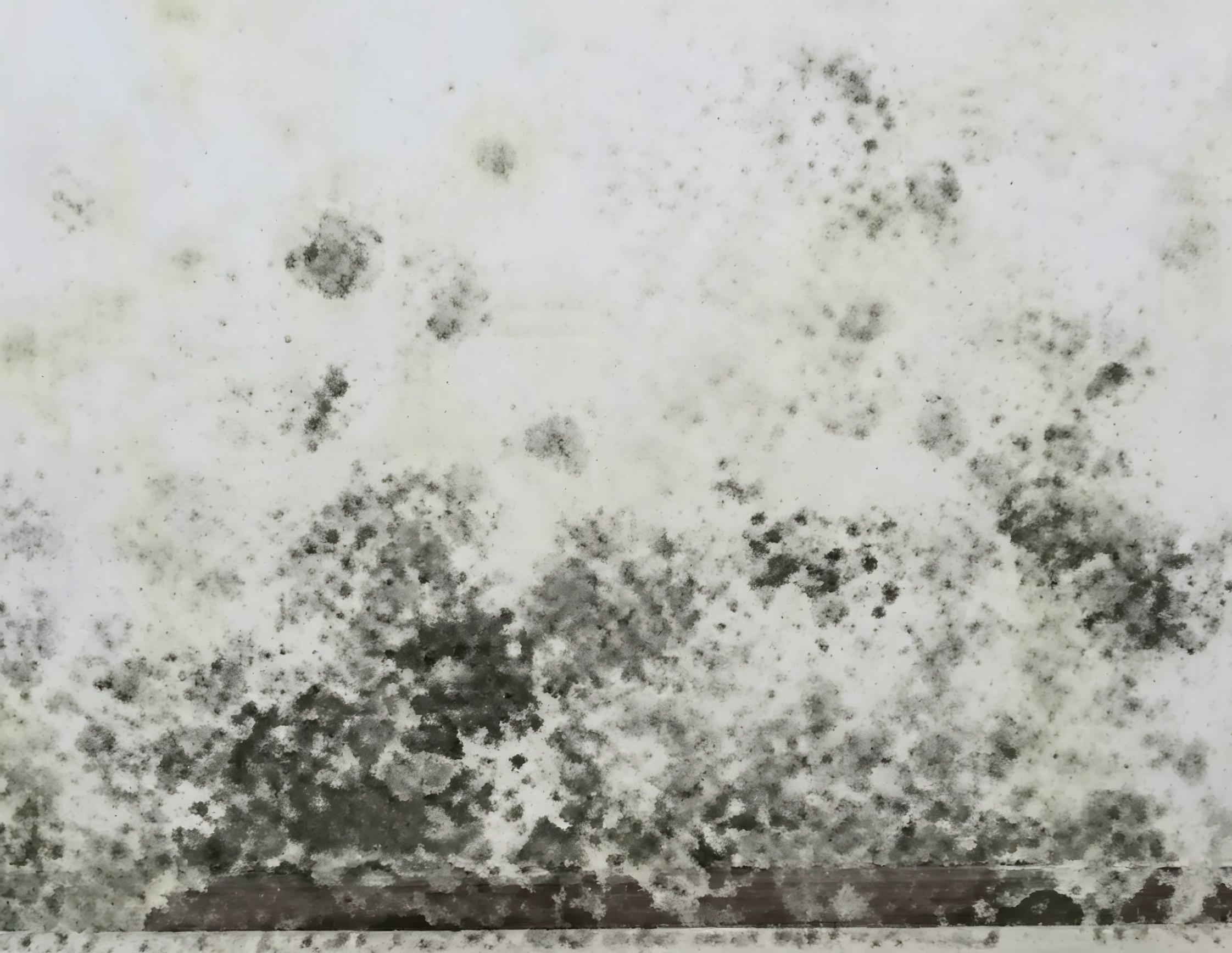 3.墙面回潮.jpg